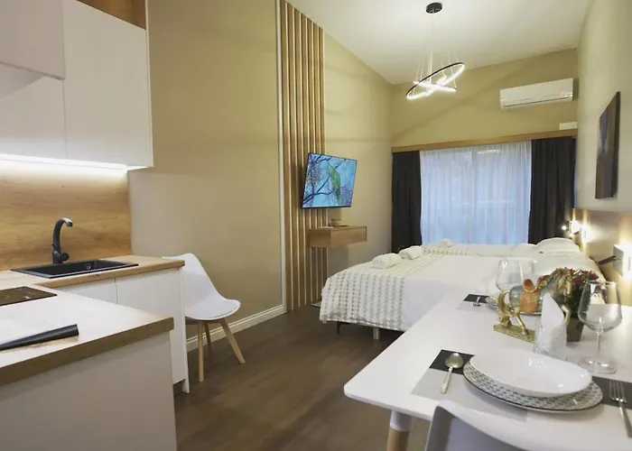Daily Rent * Tirana