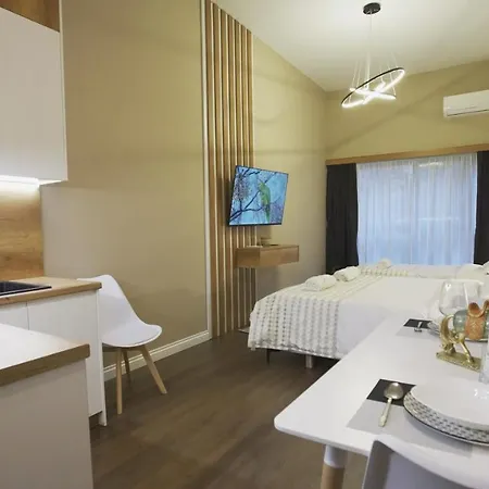 Daily Rent * Tirana